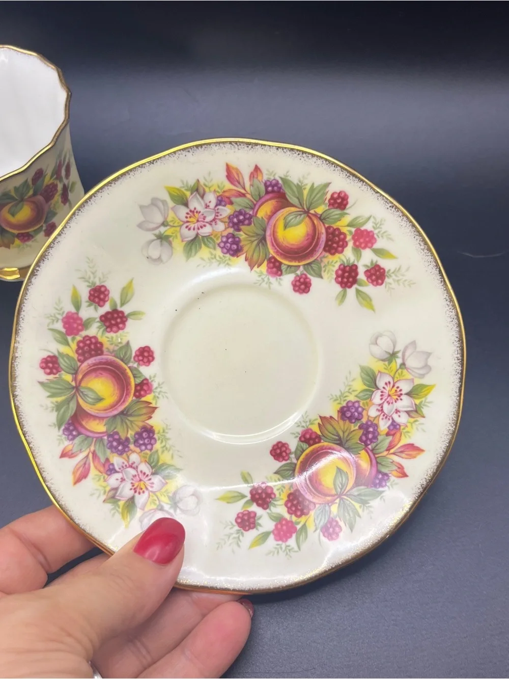 Vintage Elizabethan Staffordshire Teacup Saucer Set England Gold Orchard Fruit